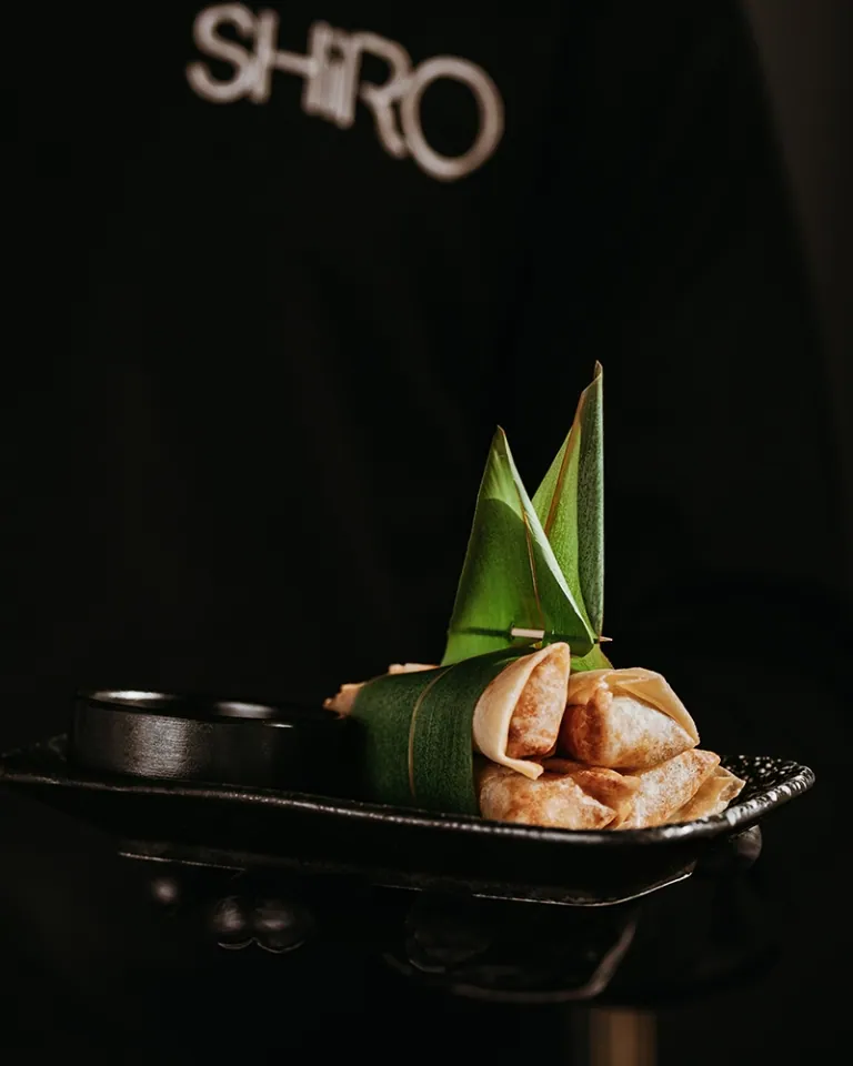 A SHIRO dish 2